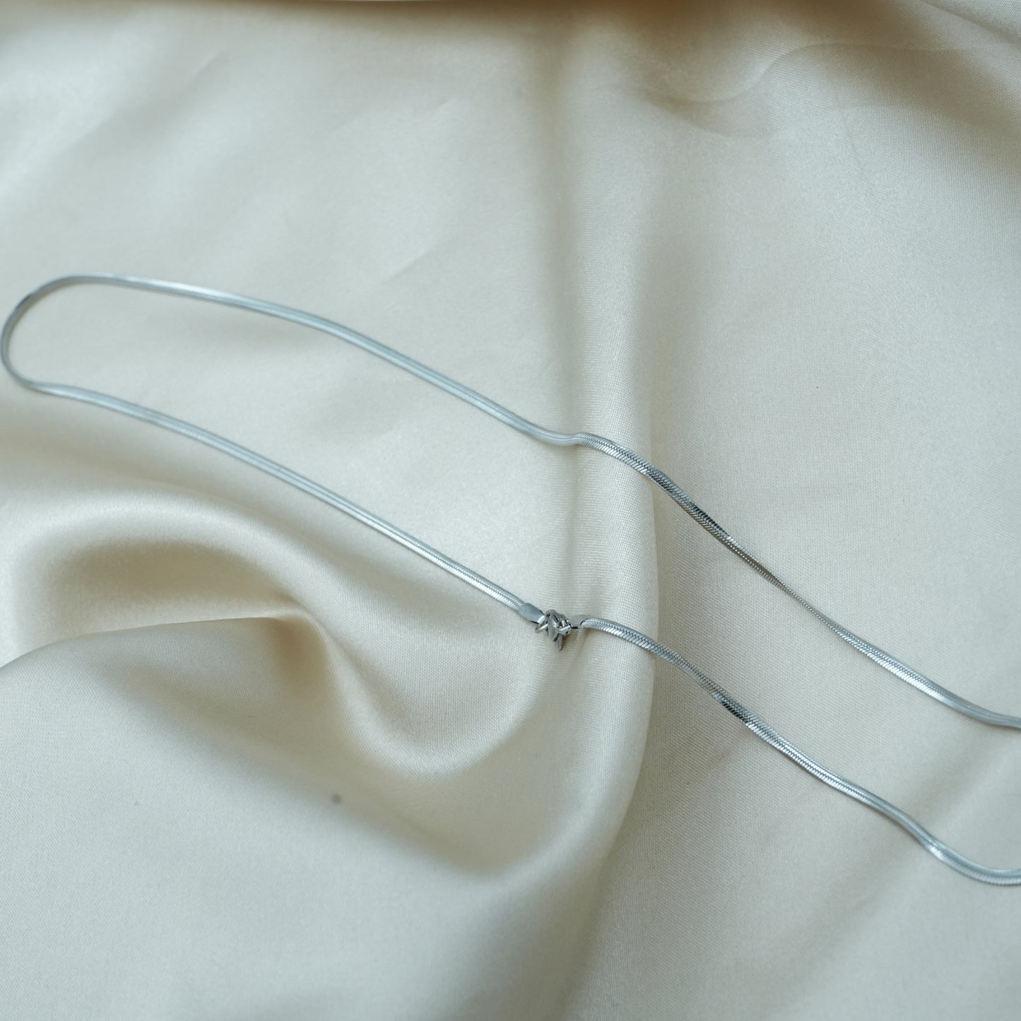 Men's Silver Snake Chain