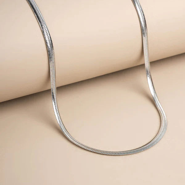 Silver Snake Chain Necklace & Bracelet Combo