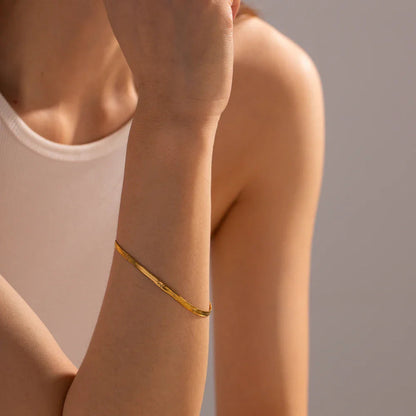 Flat Snake Chain Necklace & Bracelet Combo