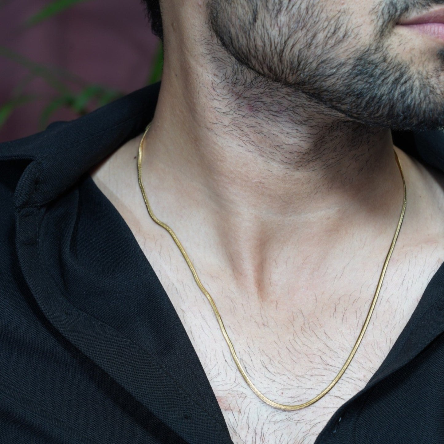 Men's snake chain Gold