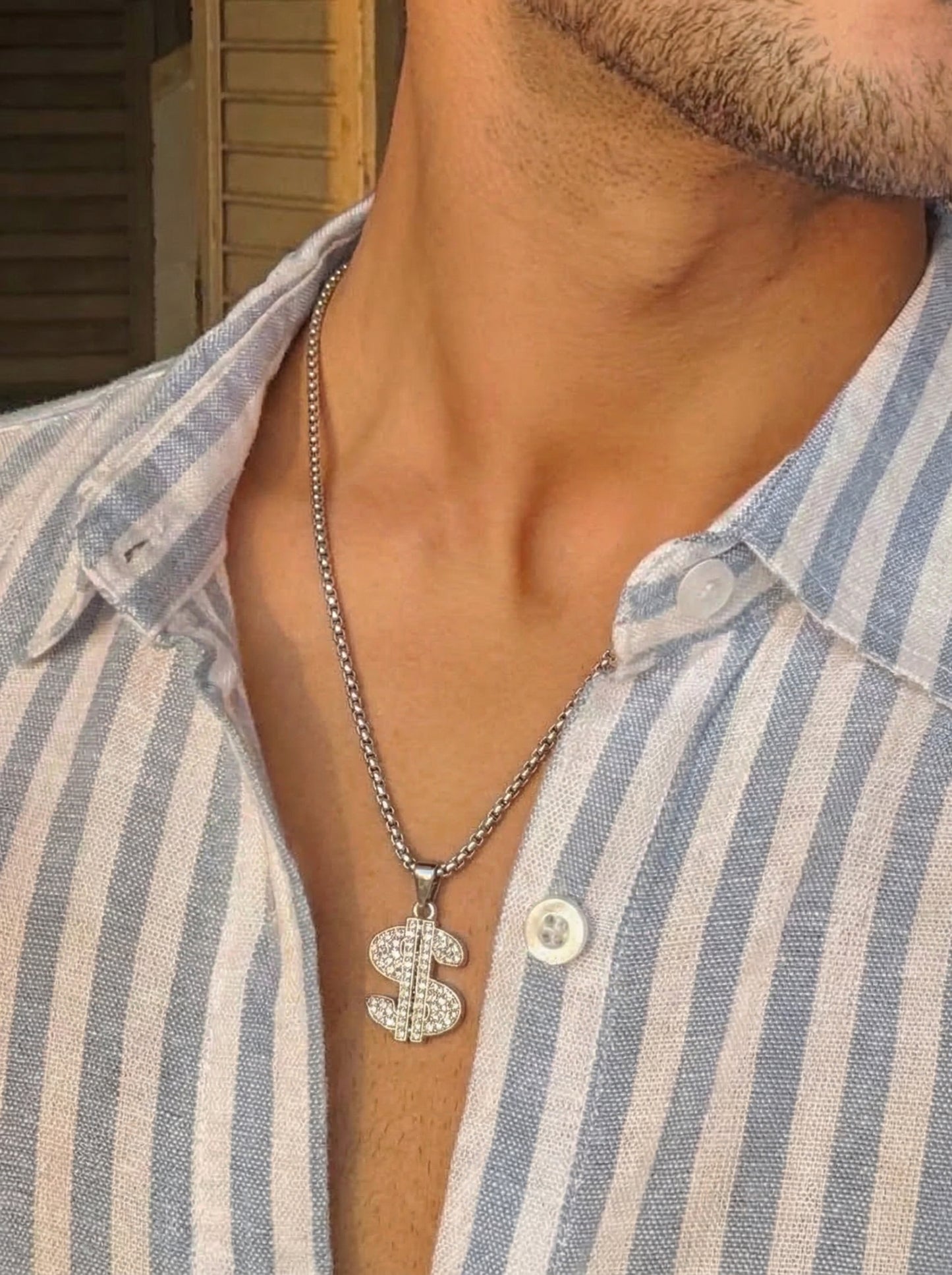 Silver Iced Dollar Pendant Chain