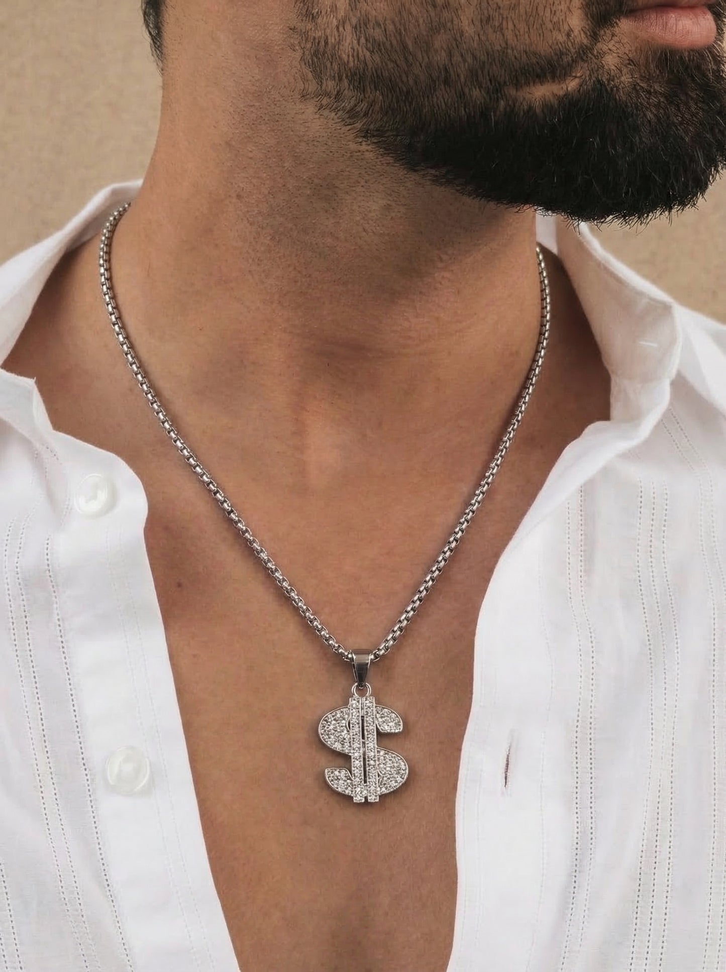 Silver Iced Dollar Pendant Chain